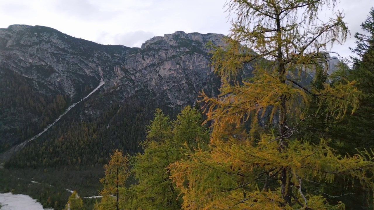 无人机在高山区躲避树木障碍物视频素材