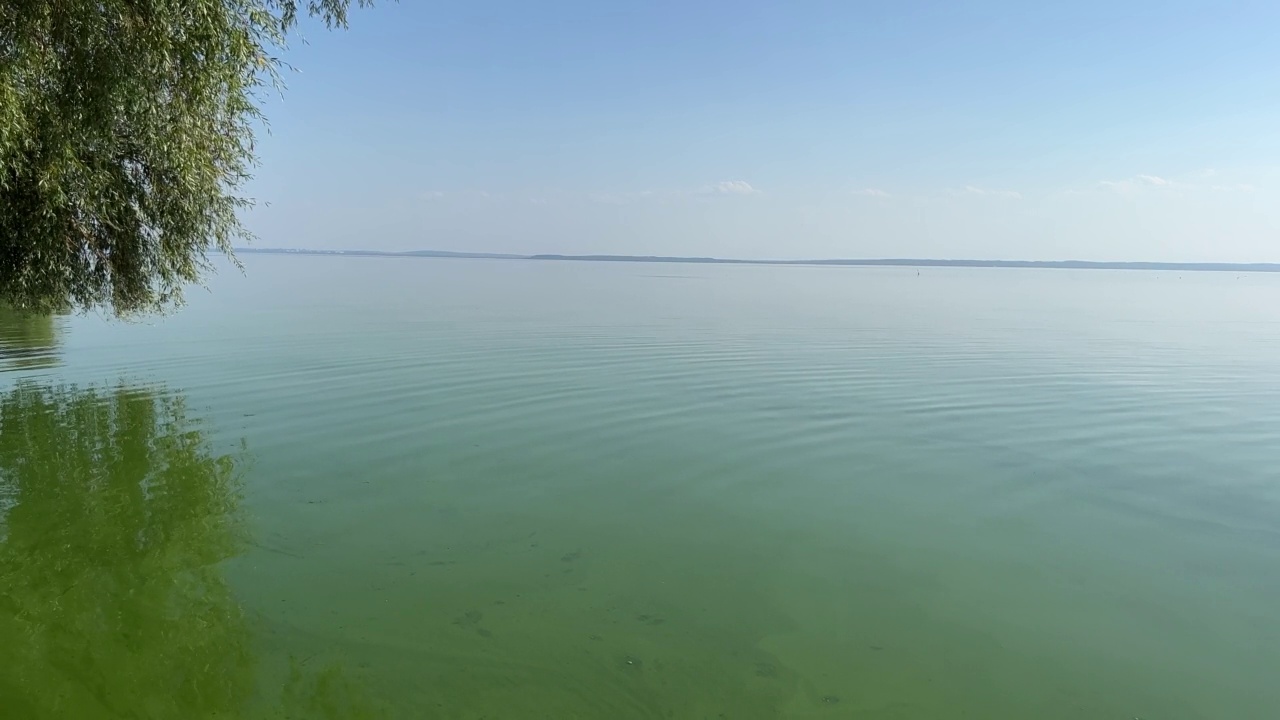 柳树在平静的碧绿河水上。视频素材