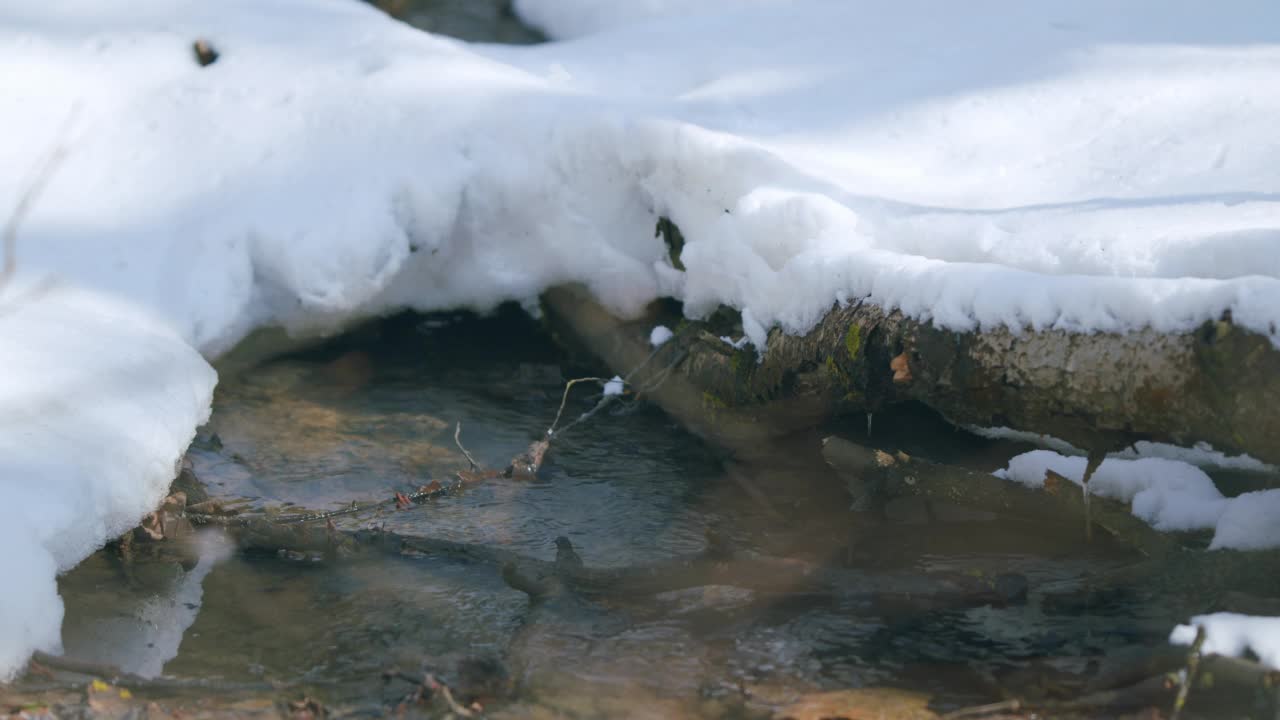 森林里的雪在阳光明媚的春日融化。小溪在春天流动。视频素材