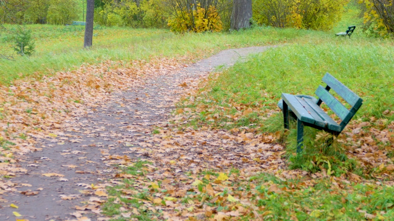 秋天公园里的一条孤独的长凳视频素材