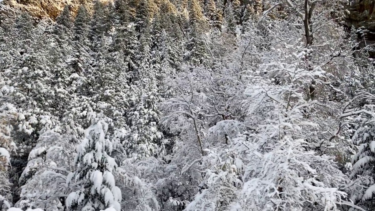 新雪覆盖了科罗拉多博尔德附近的风景视频素材