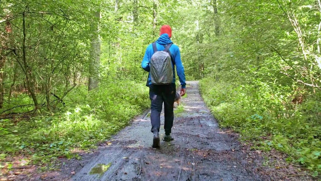 沿着树林里的小路徒步旅行。那家伙背着蓝色背包，穿着运动衫，他的狗走在他旁边。视频素材