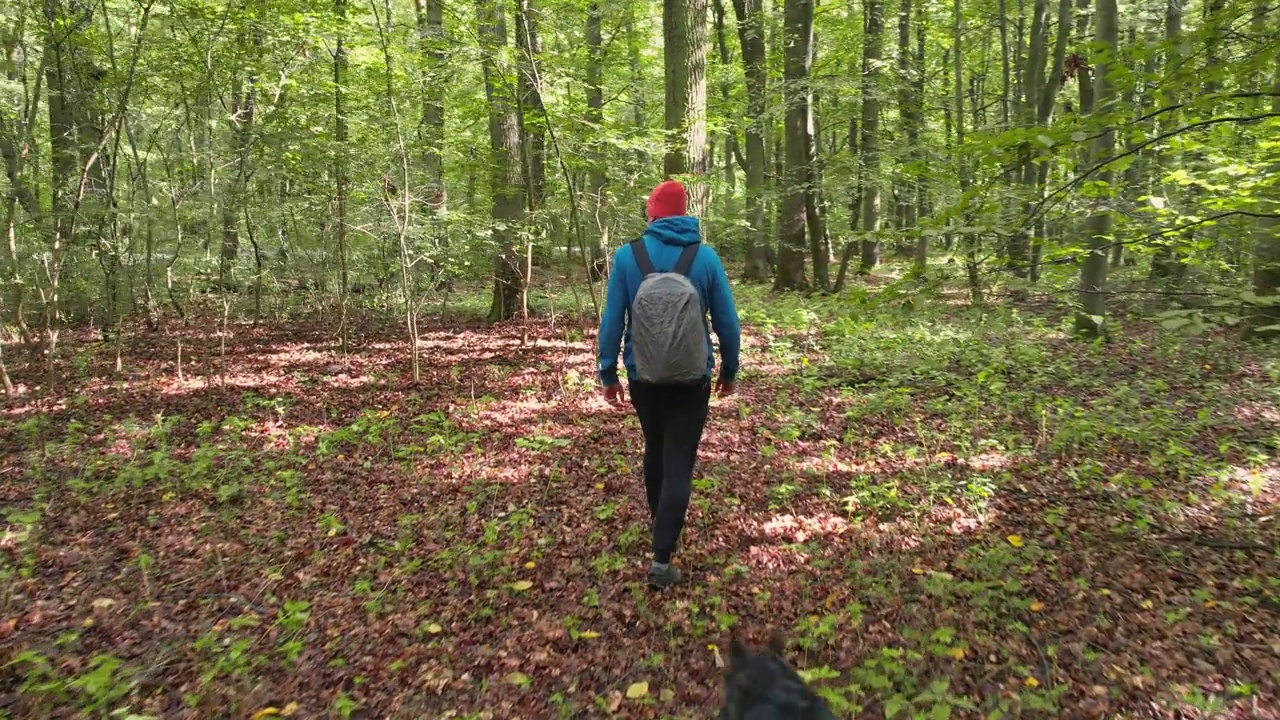 沿着树林里的小路徒步旅行。那家伙背着蓝色背包，穿着运动衫，他的狗走在他旁边。视频素材