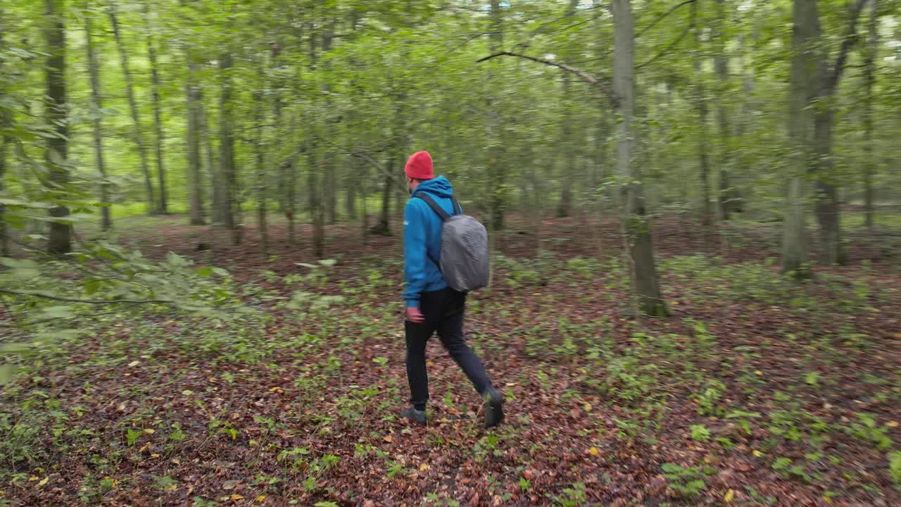 沿着树林里的小路徒步旅行。那家伙背着蓝色背包，穿着运动衫，他的狗走在他旁边。视频素材