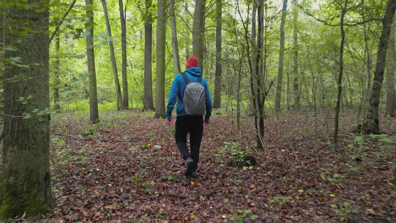 沿着树林里的小路徒步旅行。那家伙背着蓝色背包，穿着运动衫，他的狗走在他旁边。视频素材