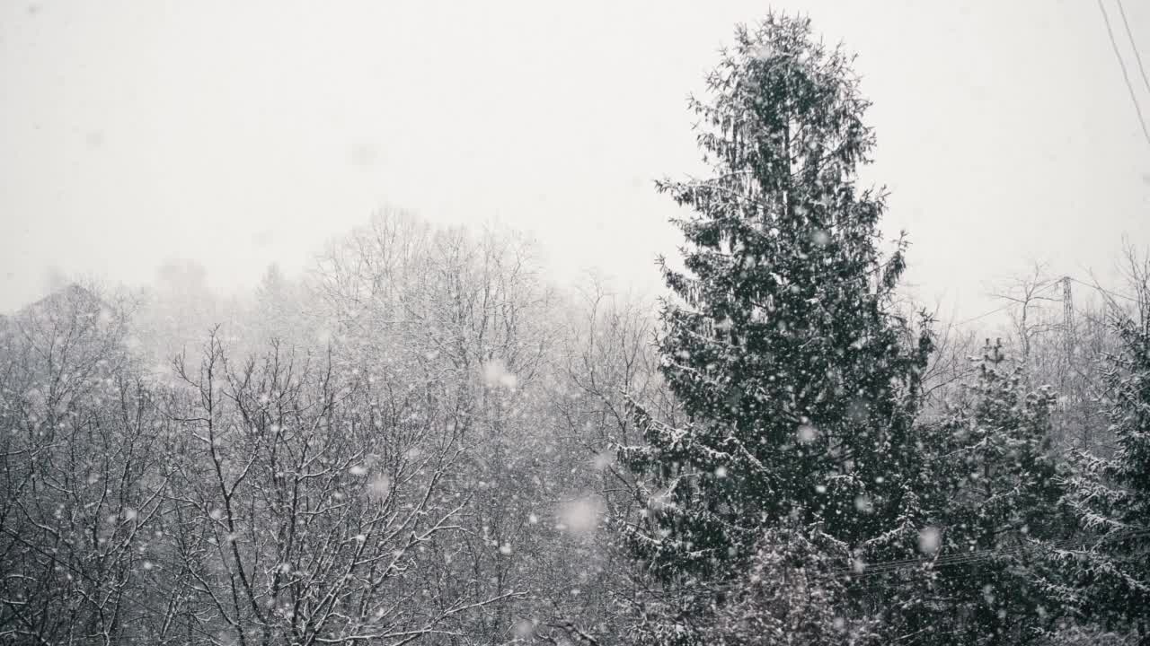 一场大雪的静态镜头视频素材