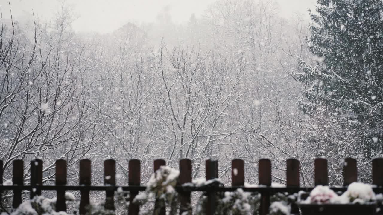 一场大雪的静态镜头。视频素材