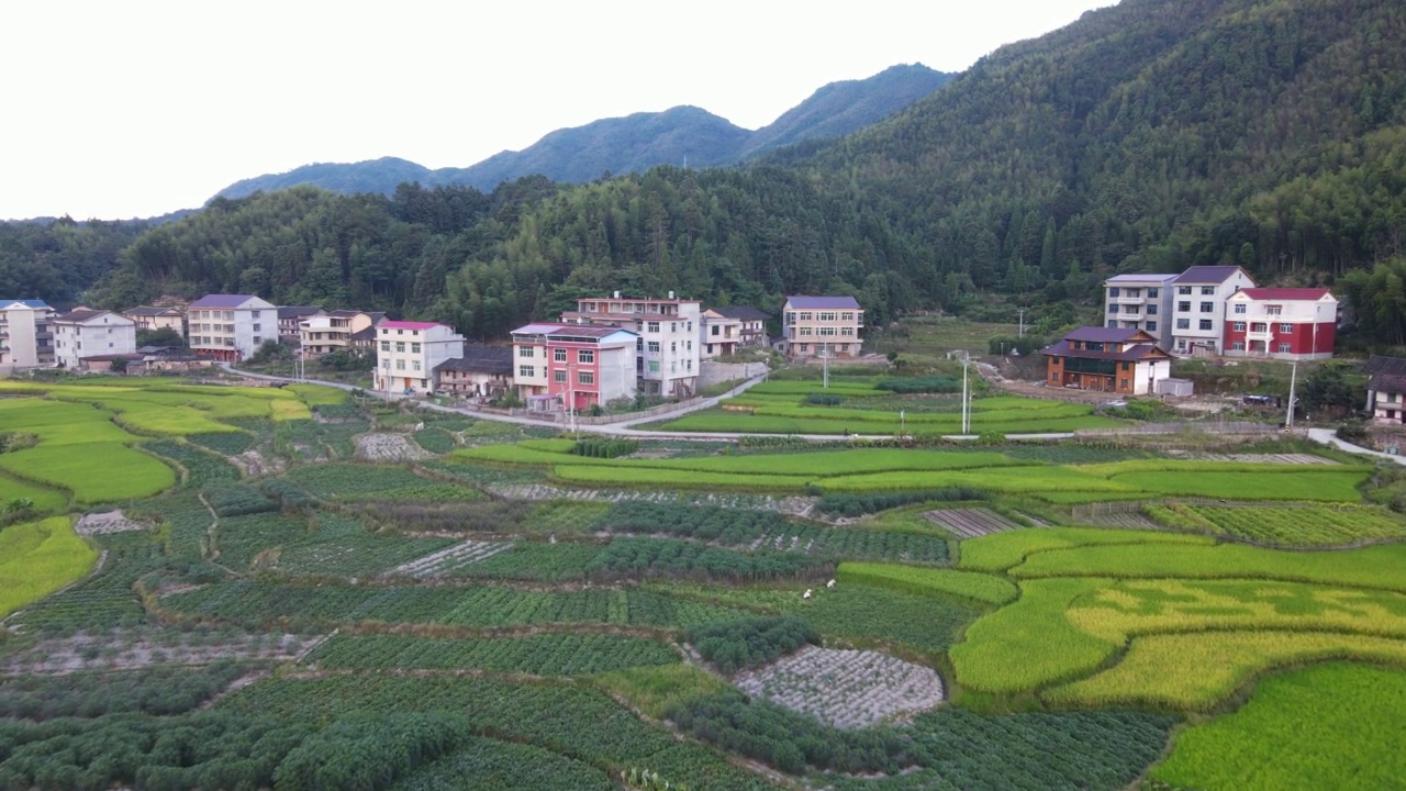 多云天的绿地和村庄鸟瞰图视频素材