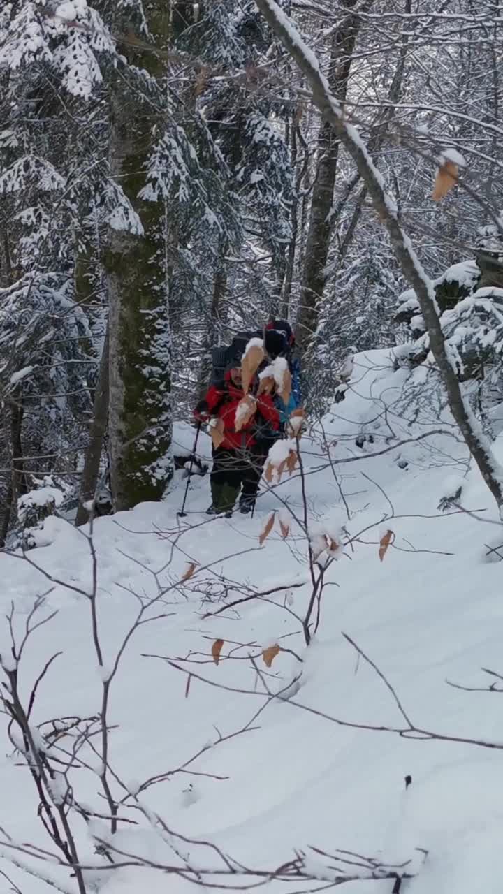 背包和雪鞋的徒步旅行者在冬季徒步旅行中行走。视频素材