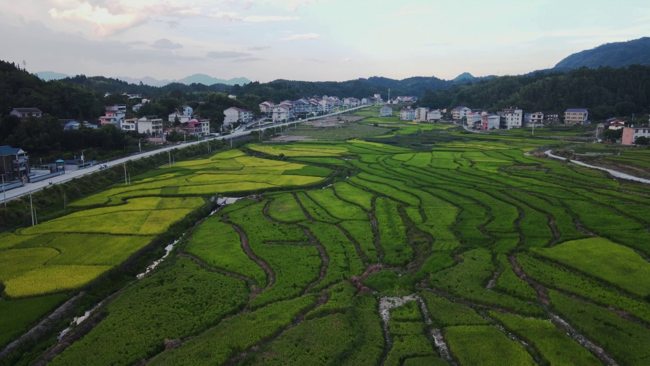 多云天的绿地和村庄鸟瞰图视频素材