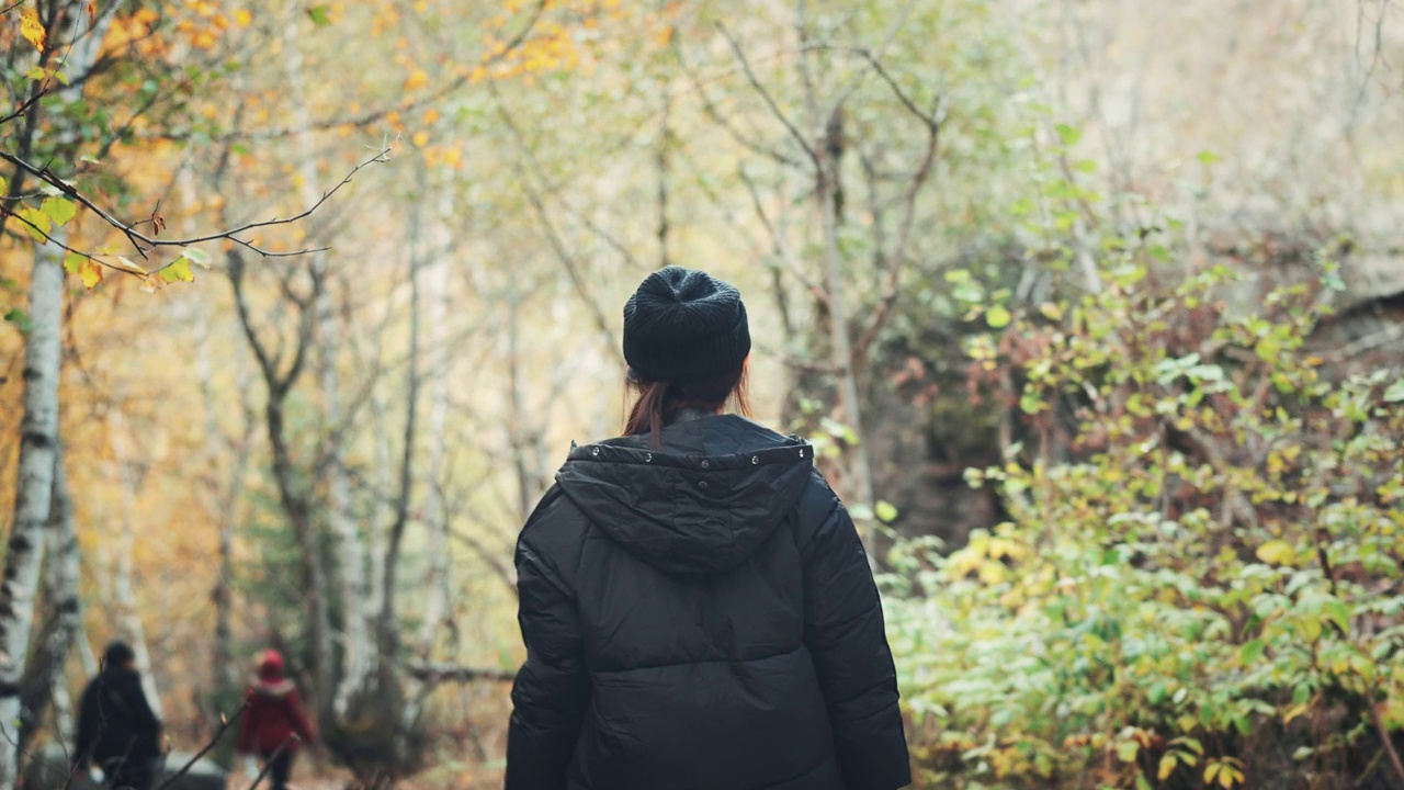 女子走秋林，女旅行者走森林后景，休闲，生物旅游，徒步旅行。视频素材