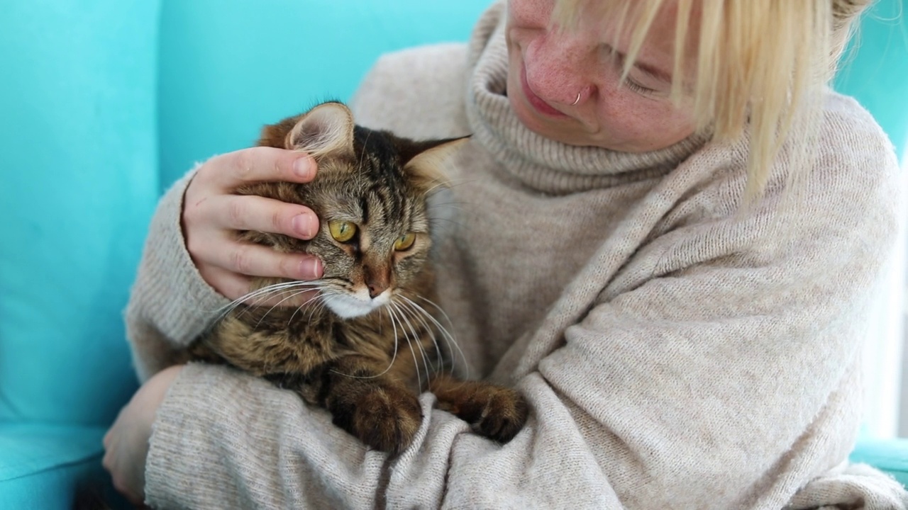 年轻女子在家里和猫放松视频素材