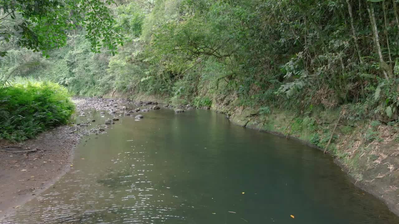 野生河视频素材