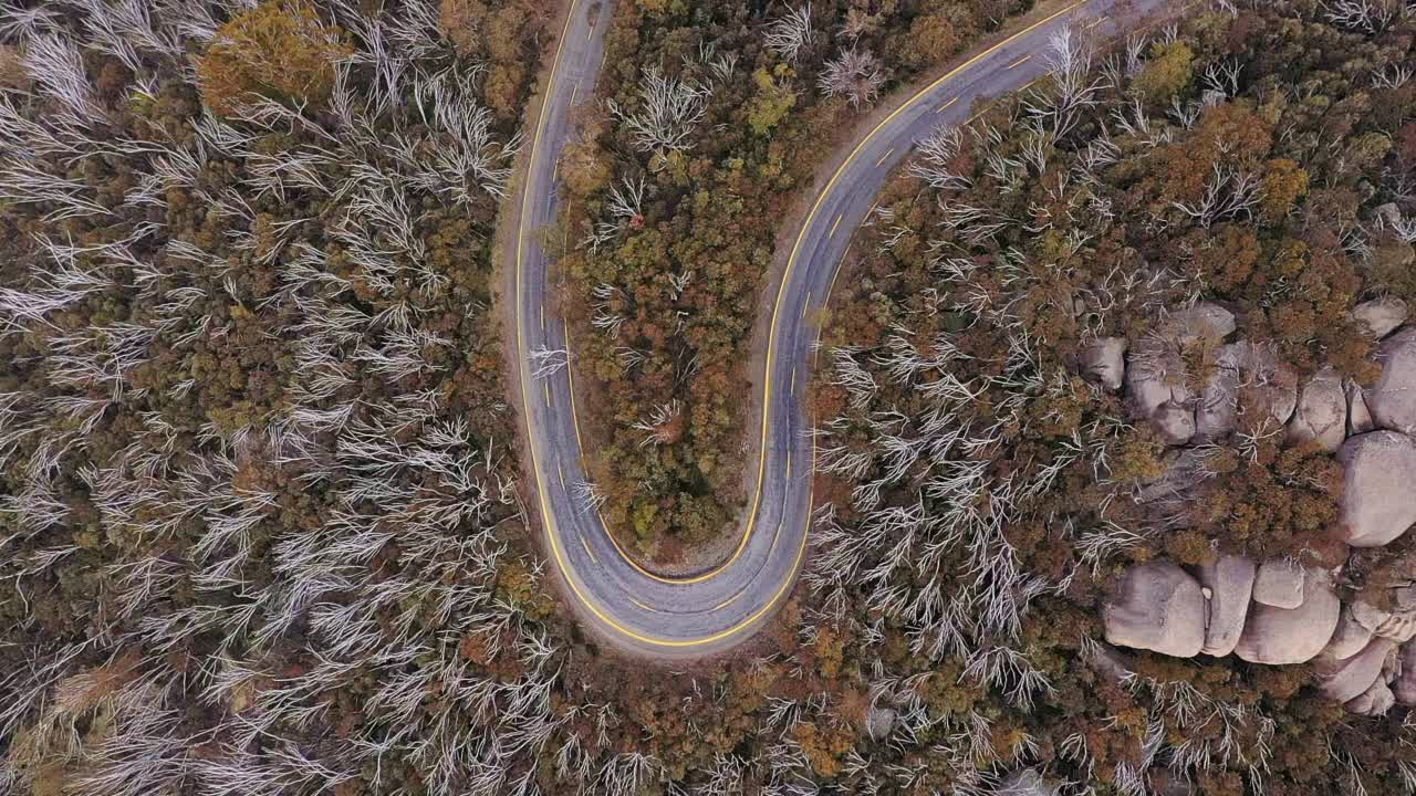 鸟瞰图，蜿蜒的山路与森林视频素材