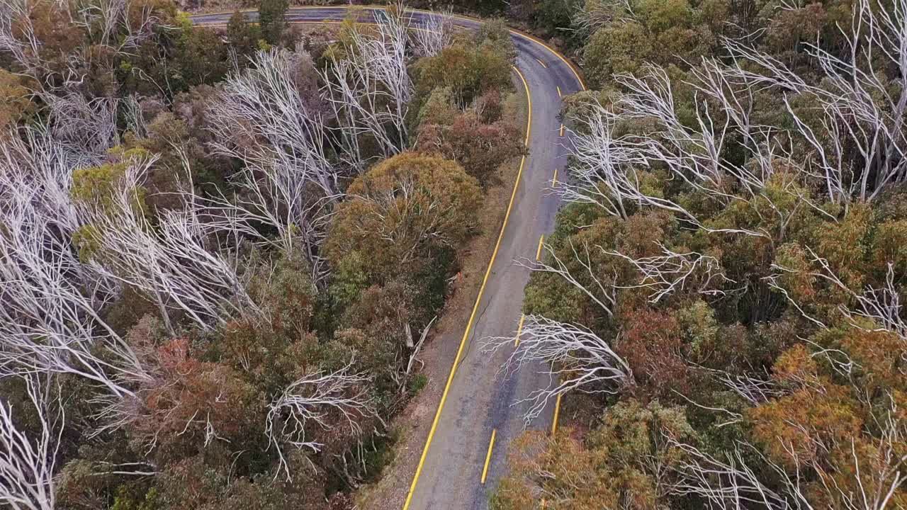 鸟瞰图，沿着蜿蜒的山路和森林视频素材