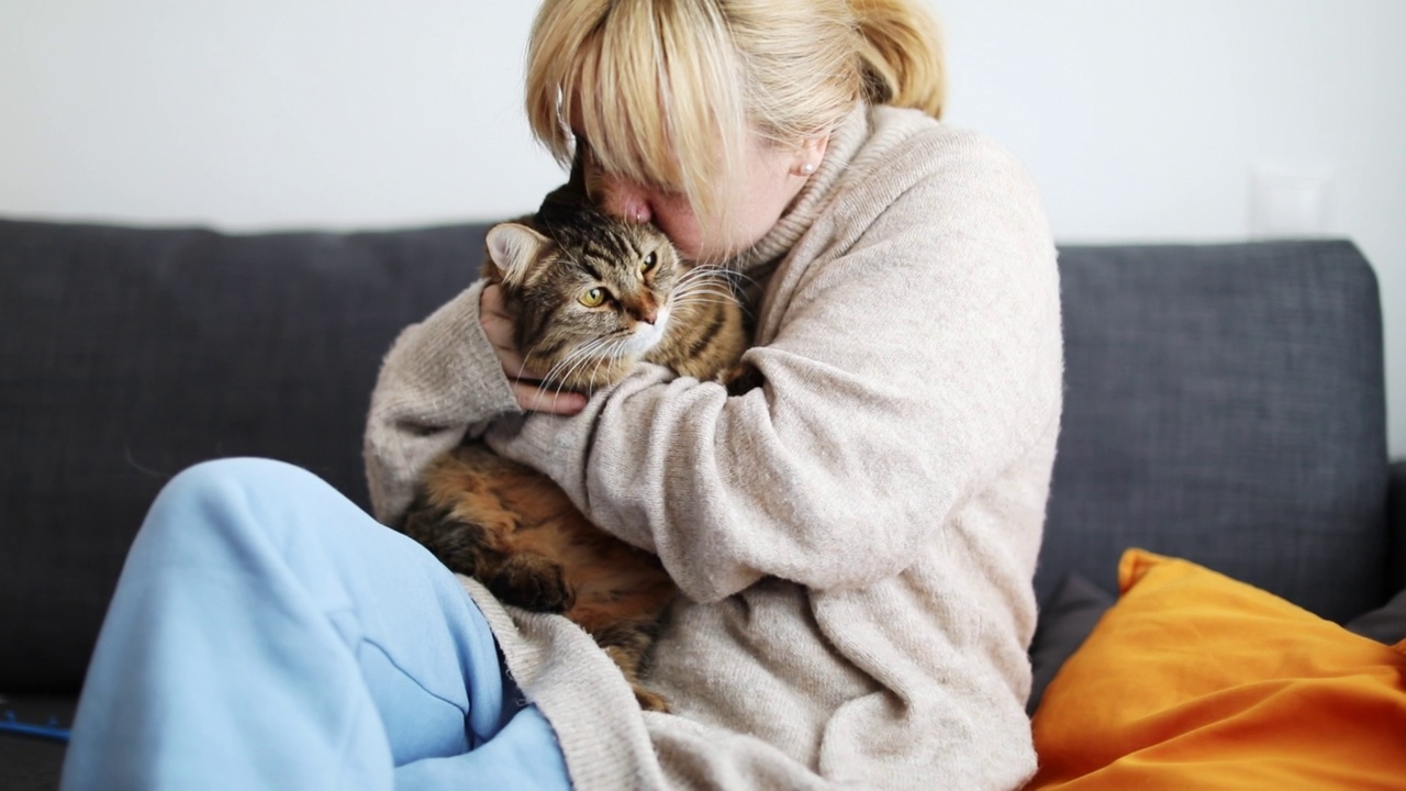 年轻女子在家里和猫放松视频素材