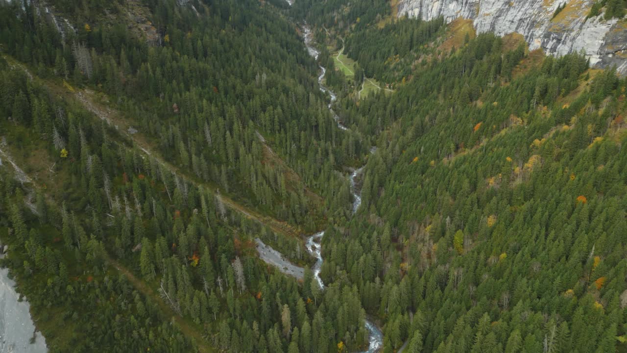 欧洲阿尔卑斯山的河谷和松林的空中倾斜视频素材