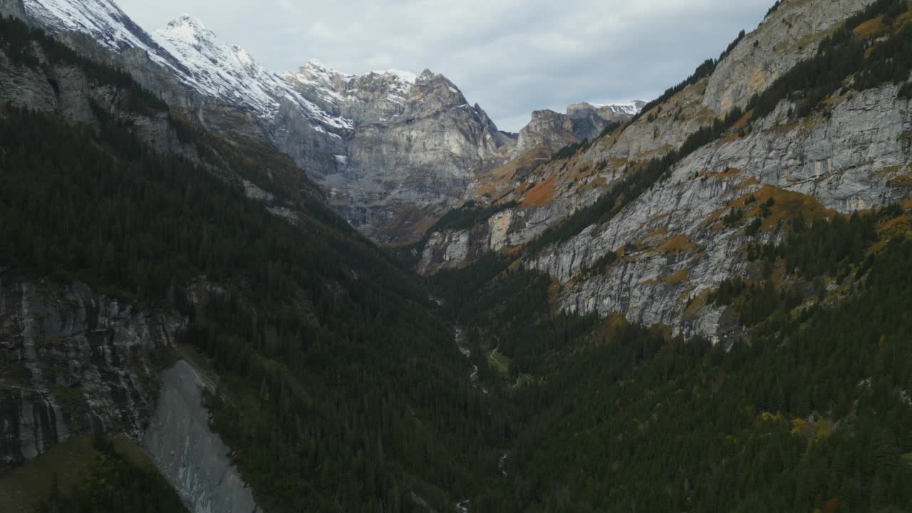 欧洲阿尔卑斯山山谷和松林的空中前进视频素材