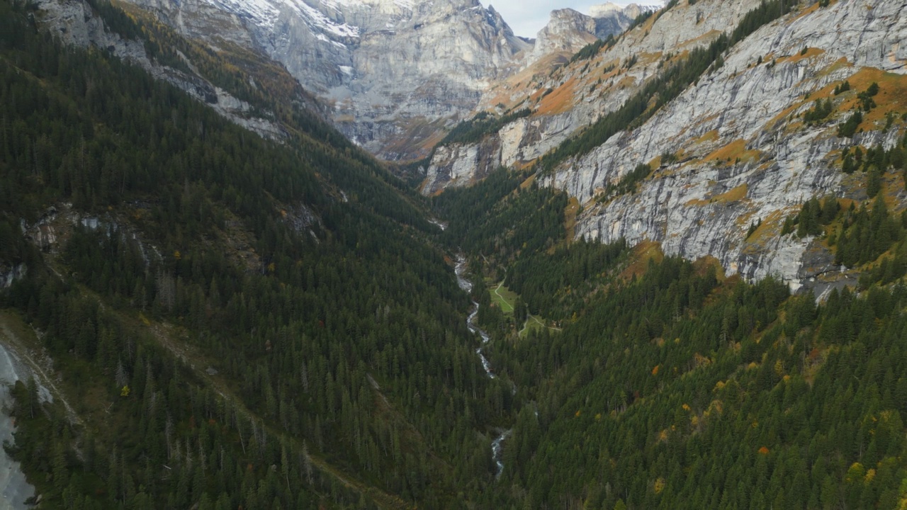 欧洲阿尔卑斯山的山谷和松林的空中落后视频素材