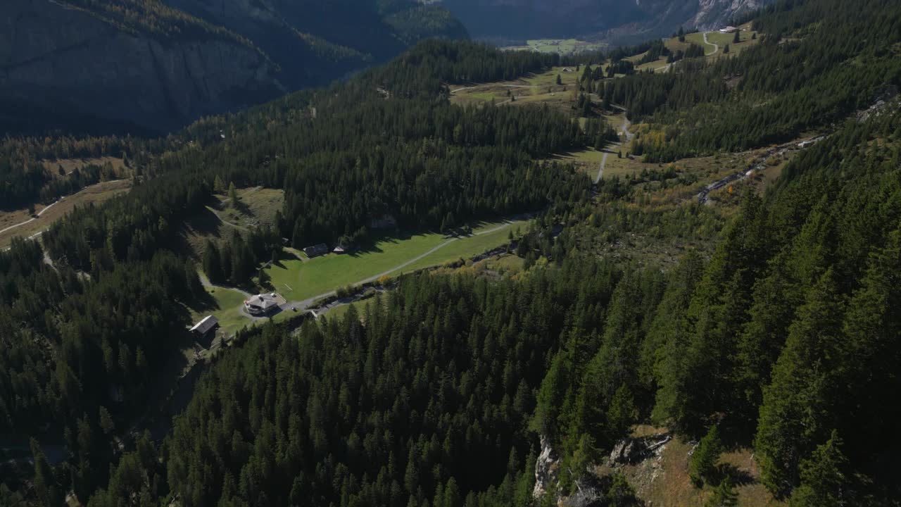 Oeschinensee湖周围松林的鸟瞰图视频素材