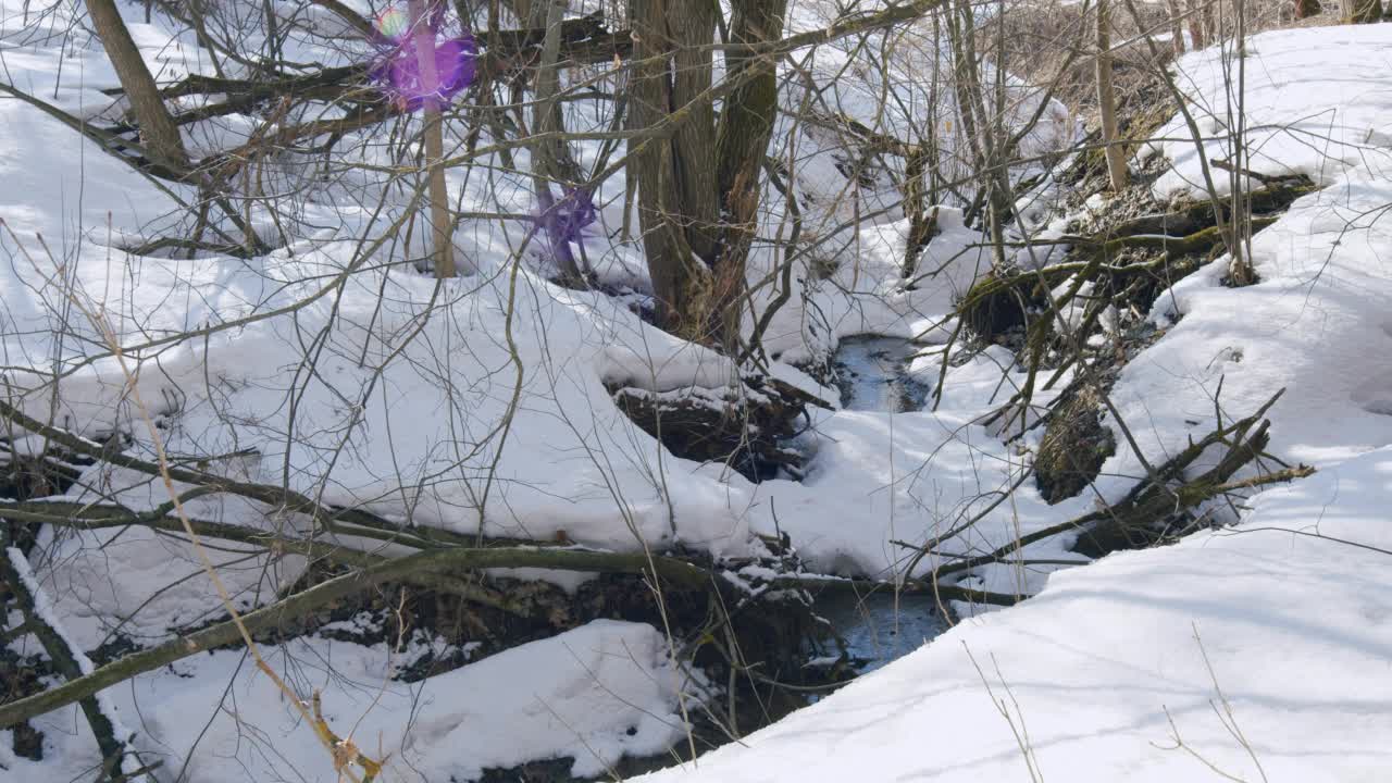 森林溪流携带着融化的雪水。纯净水会流动。视频素材