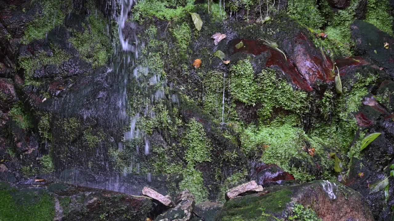 瀑布落在岩石和青苔之间视频下载