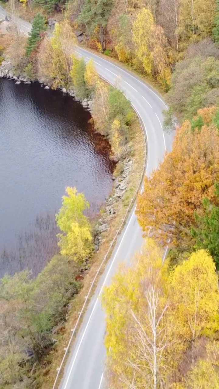 秋天在弯曲的道路上开车的垂直视频。视频素材