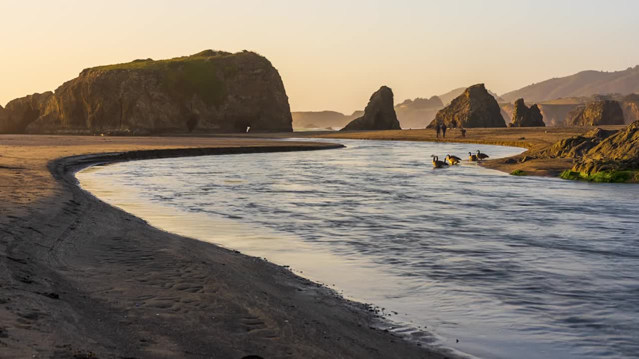 时间流逝的河流流入海洋，人和鹅走在海滩上视频下载