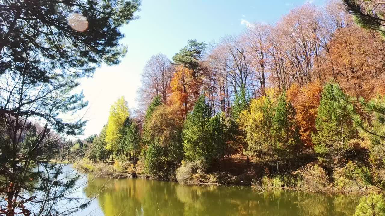 Topuk池塘秋叶风光，阳光明媚，多色映面。土耳其库塔希亚多曼尼公园周围的彩色树木，有红、橙、黄、金色视频素材