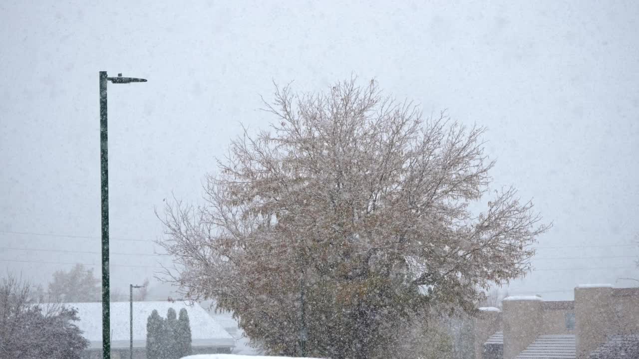 犹他州的暴雪，雪花以慢动作落下视频素材