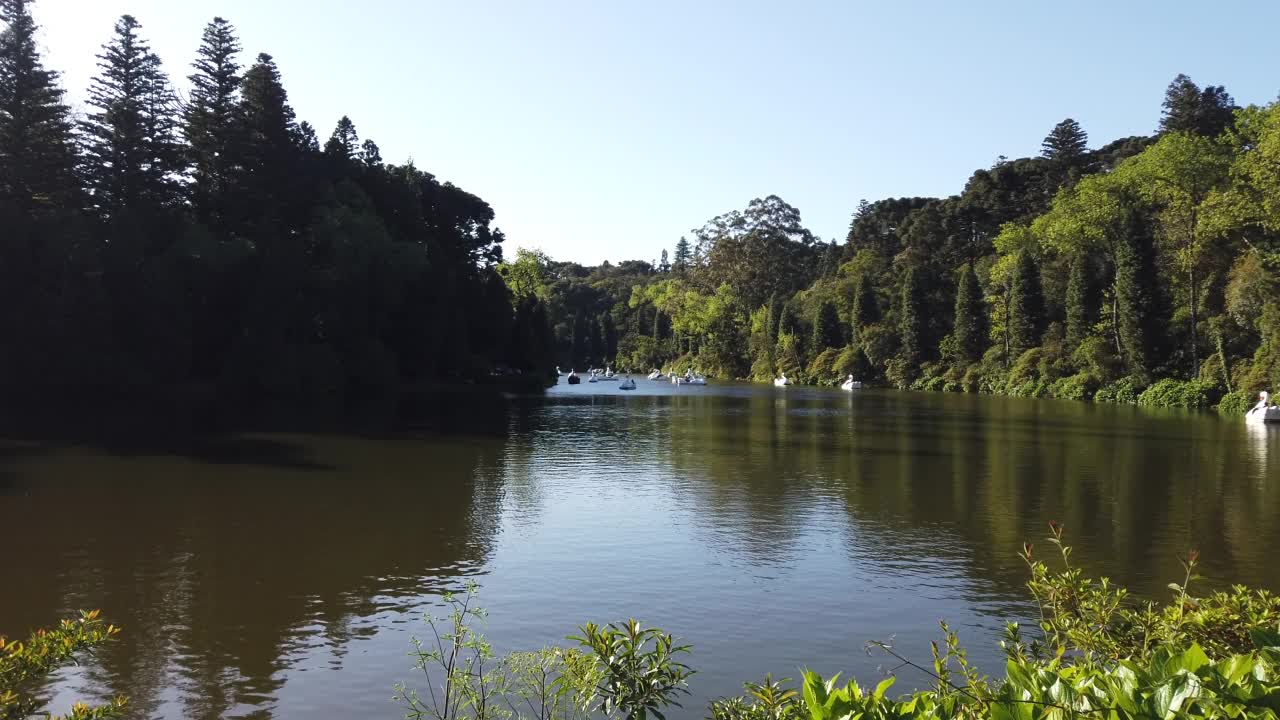 天鹅踏板-黑湖在格拉多市视频素材