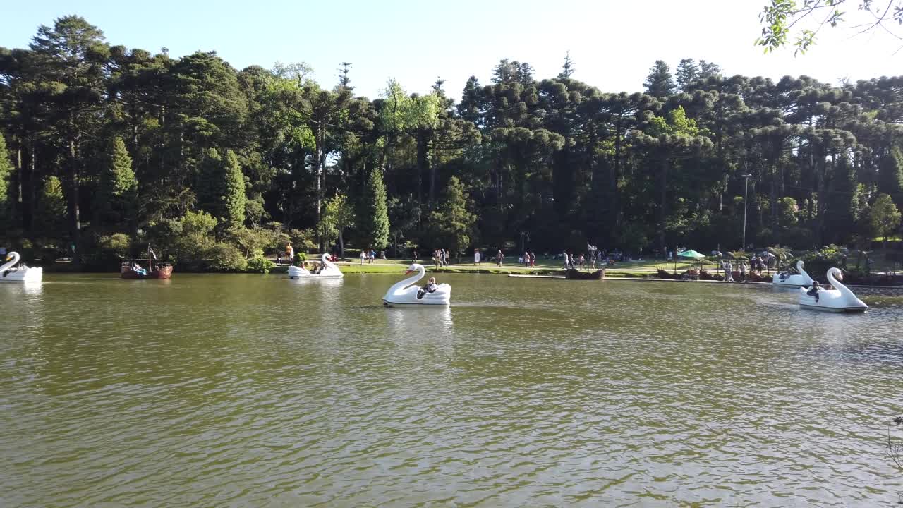 天鹅踏板-黑湖在格拉多市视频素材