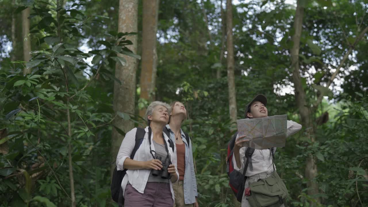 徒步旅行者使用地图旅行视频素材