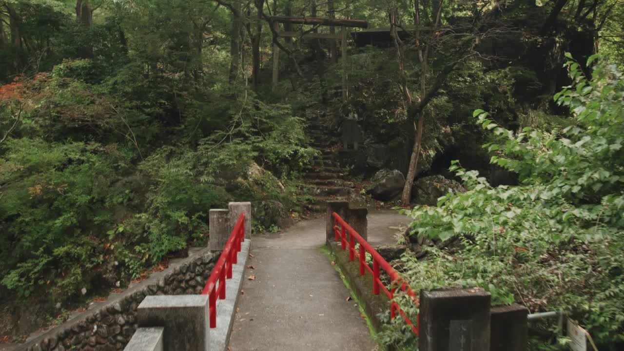 日本河边视频素材