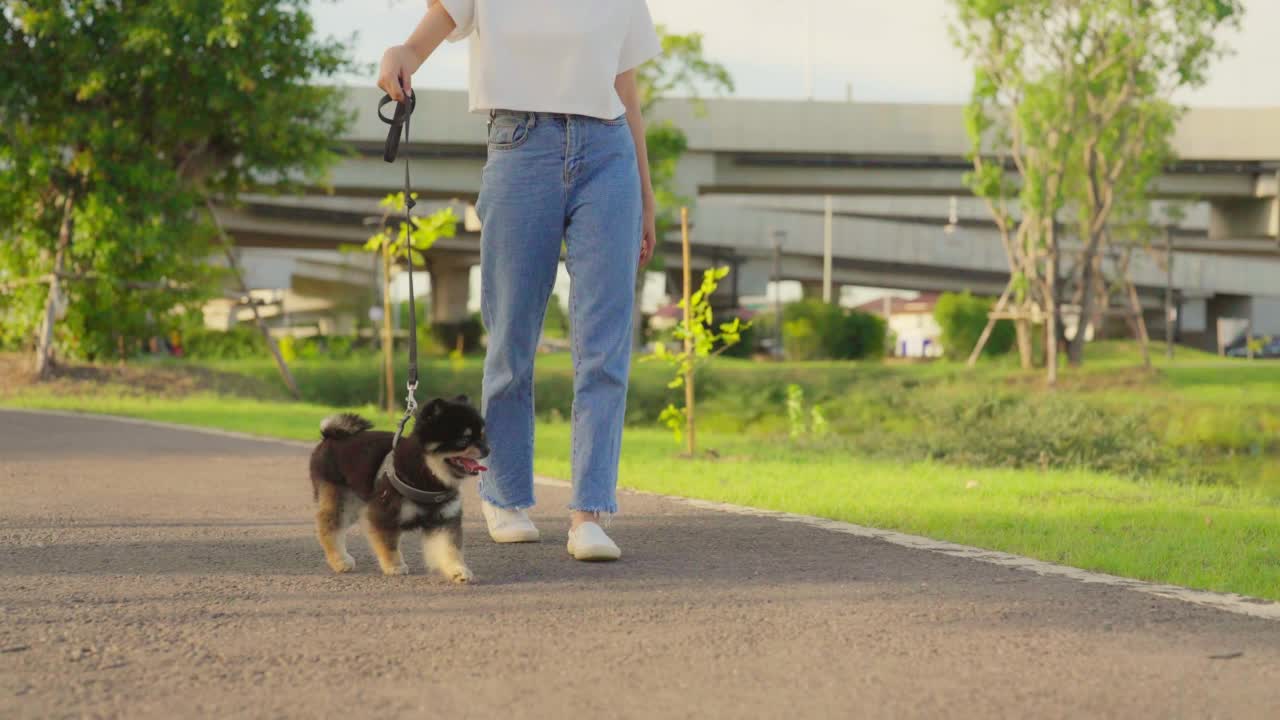 快乐的年轻亚洲妇女走在公园的路上和她的狗。宠物爱好者概念视频素材