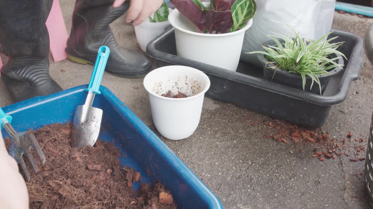 一名男子铲起泥土，把种植材料放在花盆里，对着种植小蛇形植物，摇一摇，自产自产的概念。视频素材