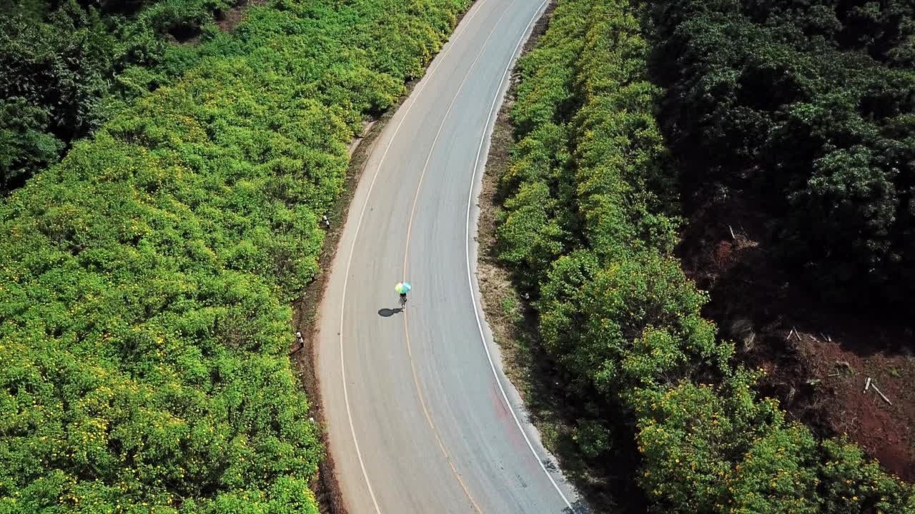 鸟瞰图，不明身份的女游客走在乡村道路上，带着彩虹伞。视频素材