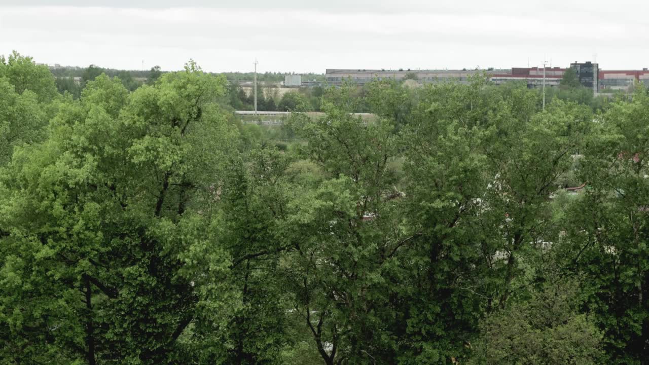 暴风雨来临前，大树在风中摇曳，夏天的飓风与天空相映成影。文本的复制空间视频素材