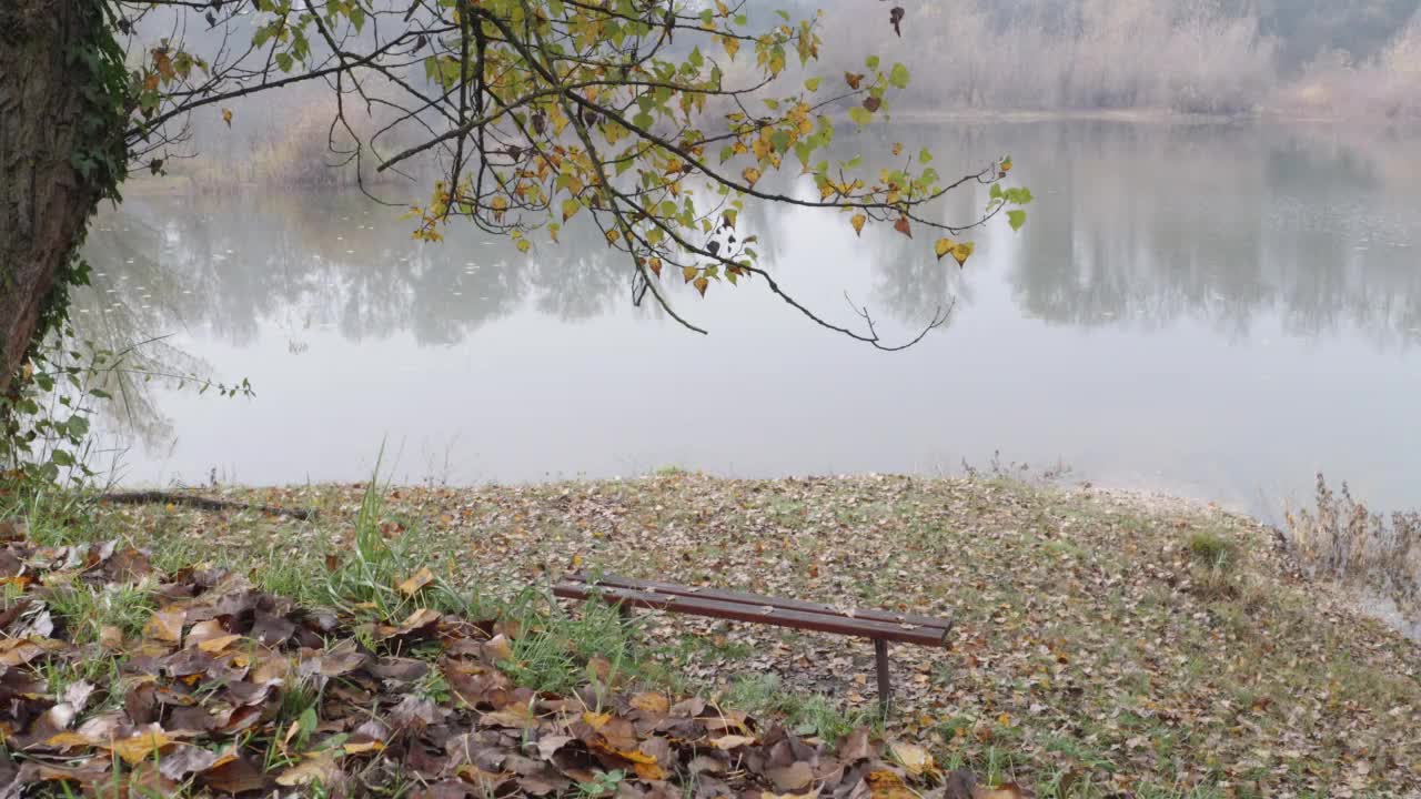 这是一个雾蒙蒙的秋日，湖滨空木凳的画面视频素材