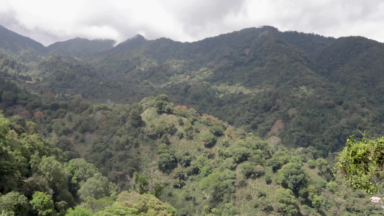 巴拿马，波奎特，巴鲁火山斜坡上的热带丛林视频素材