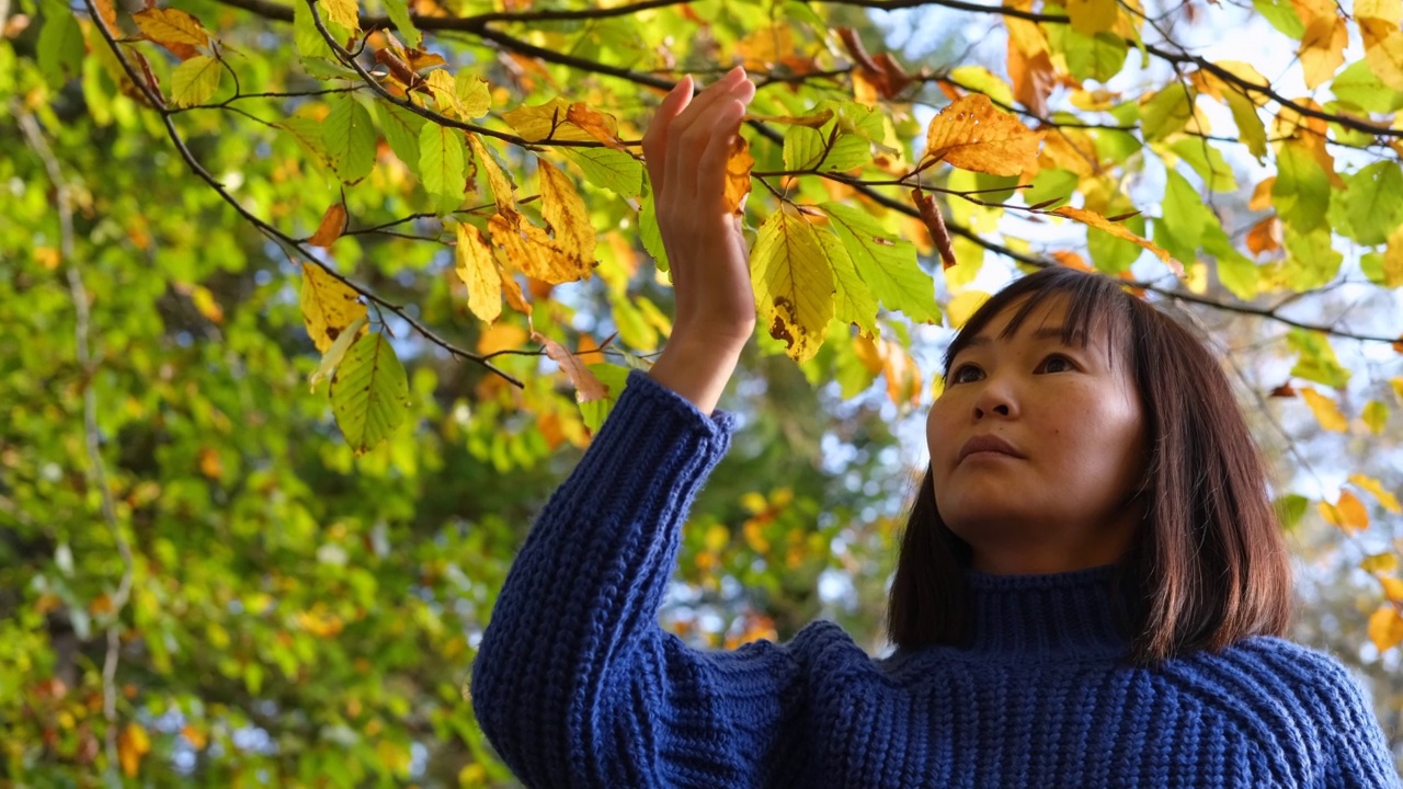 女子在公园里享受秋天。视频素材