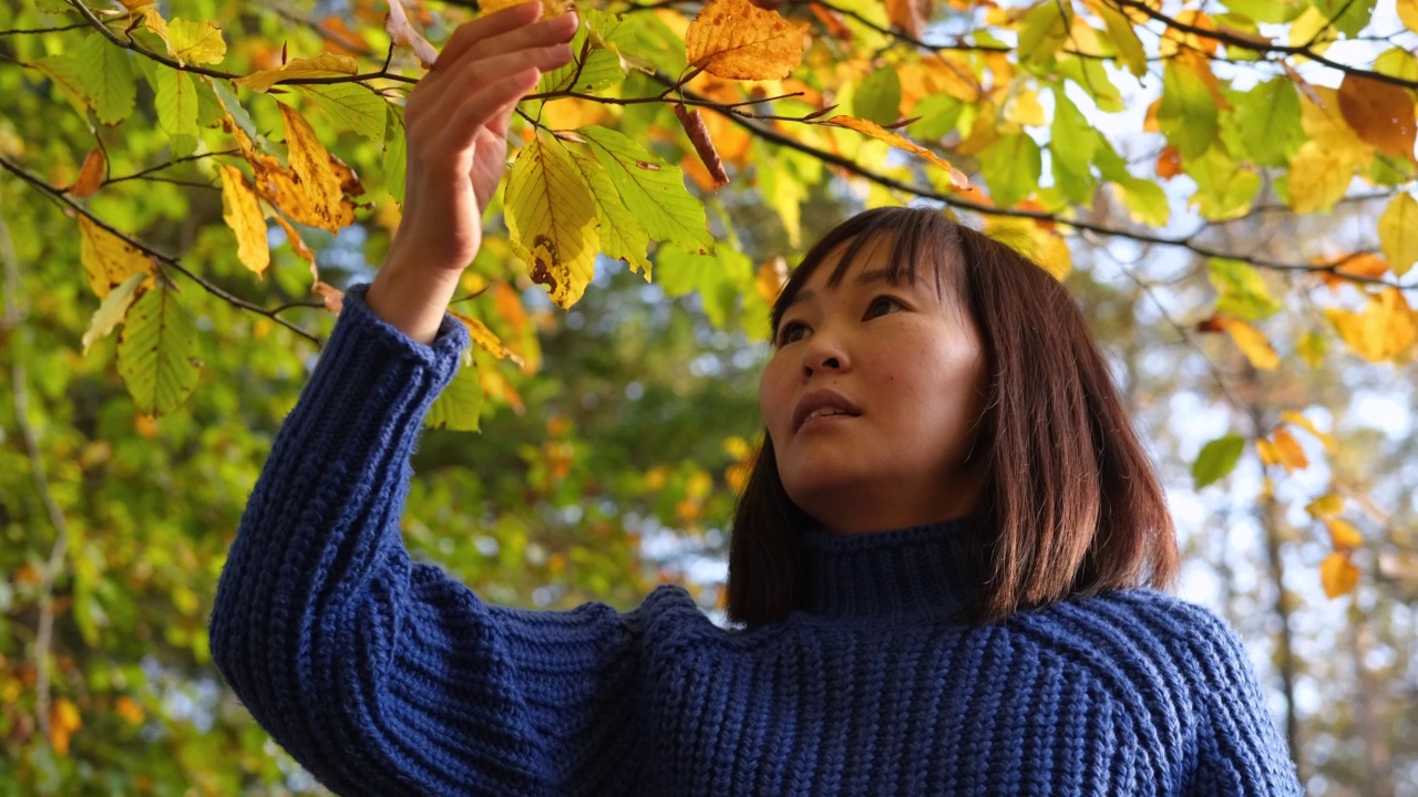 女子在公园里享受秋天。视频素材