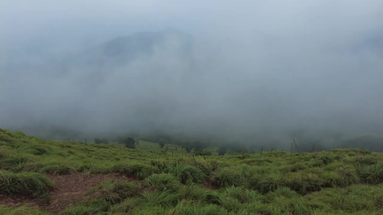 Ponmudi山站，喀拉拉邦Thiruvananthapuram美丽的雾山视频素材