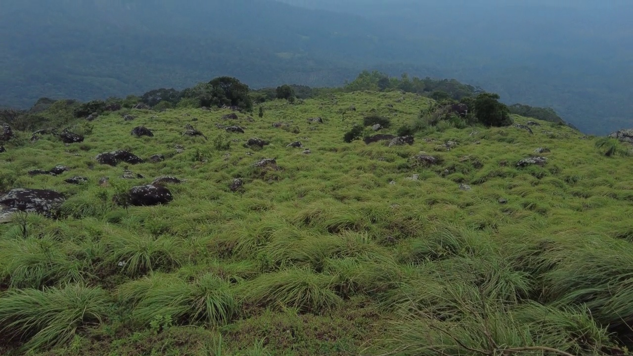 Ponmudi山站，喀拉拉邦Thiruvananthapuram美丽的雾山视频素材