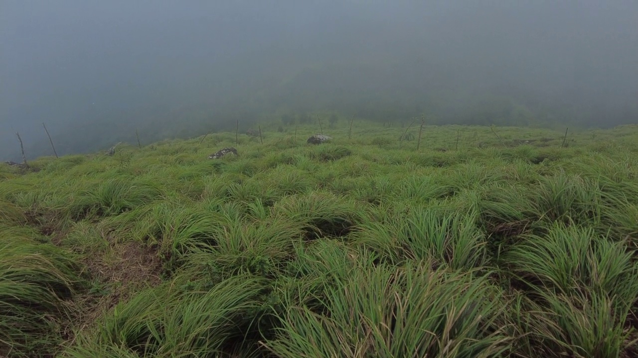 Ponmudi山站，喀拉拉邦Thiruvananthapuram美丽的雾山视频素材