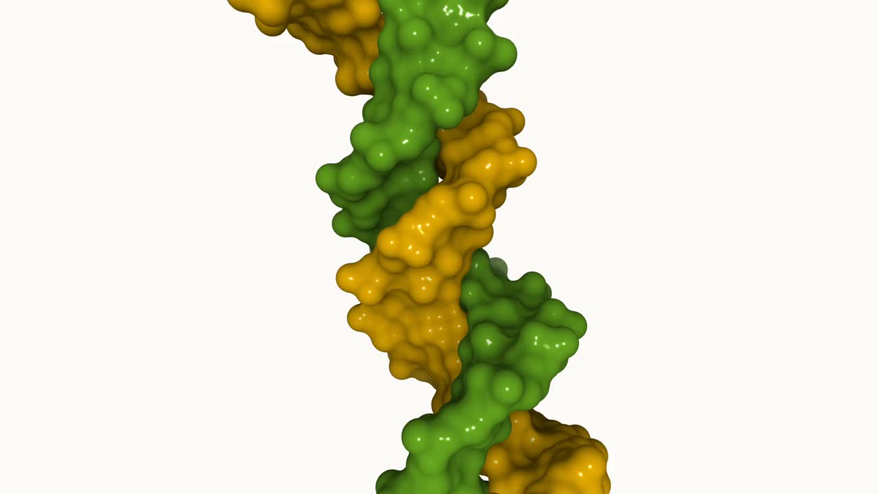 人类DNA的三维结构视频素材