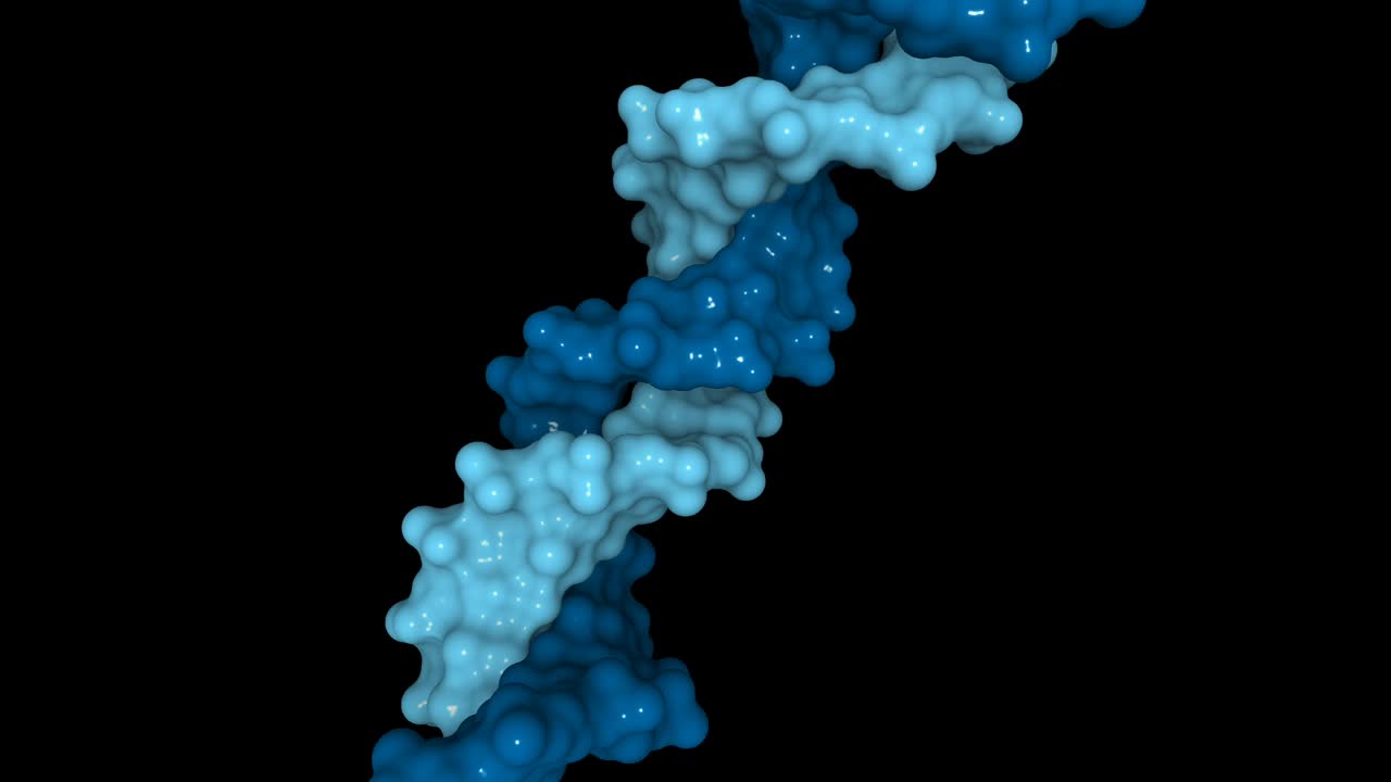 人类DNA的三维结构视频素材