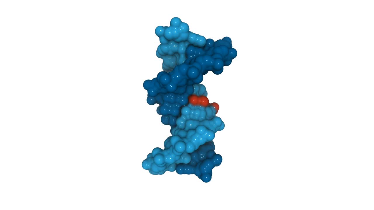 人类DNA的三维结构视频素材