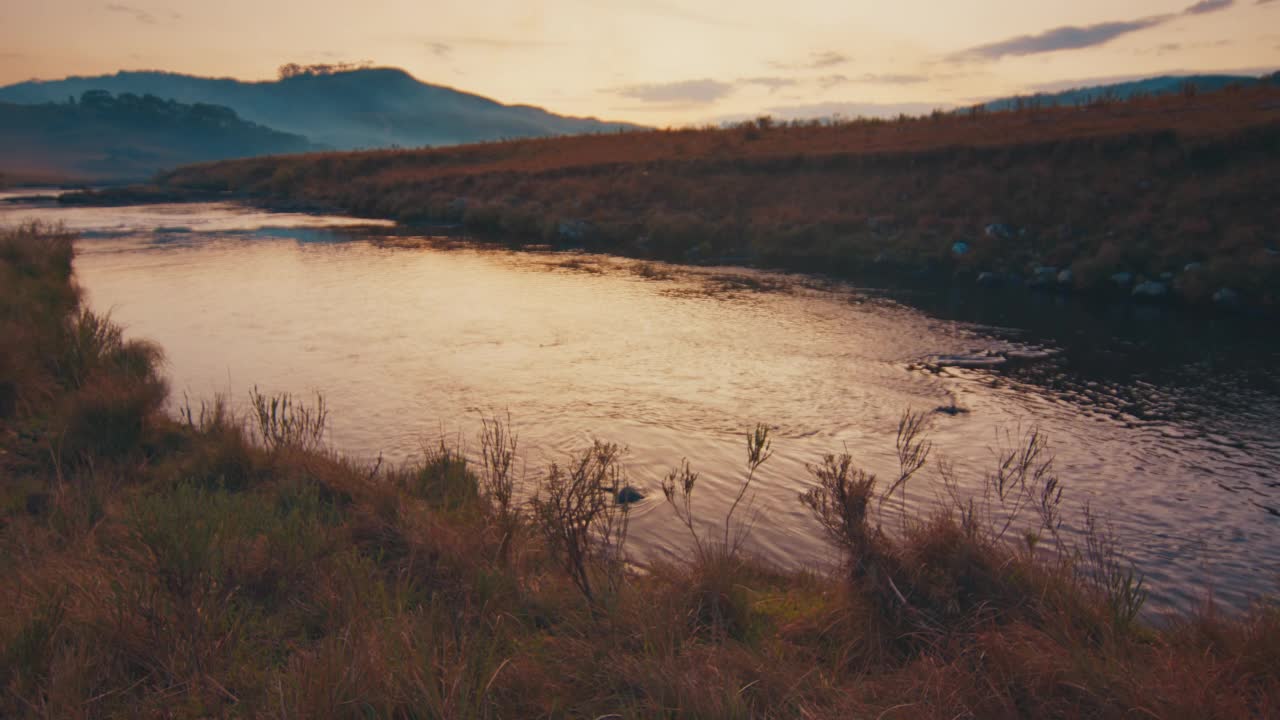 山中的河流。日落时分，清澈湍急的河流在巴西山上流淌视频素材