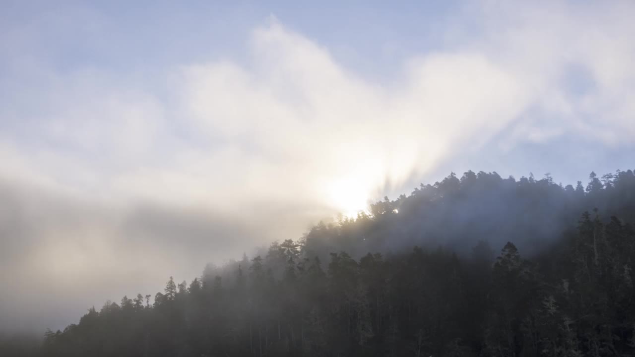 太阳从林木线上升起，燃烧着雾气——时间流逝视频素材